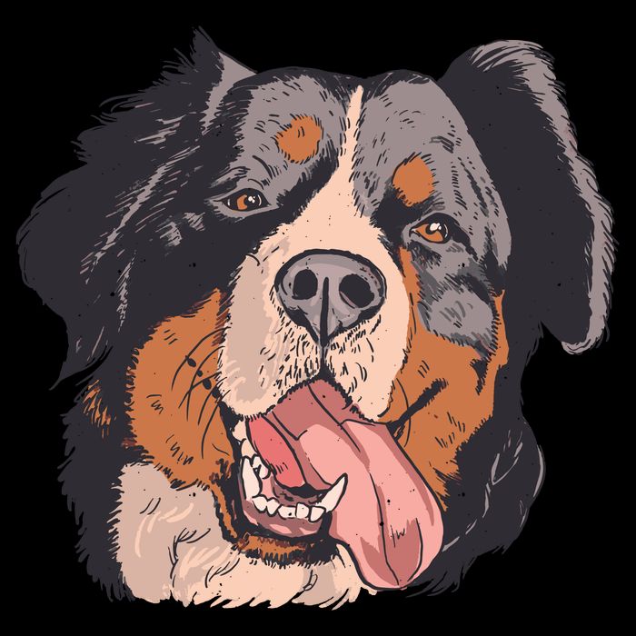 Bernese Mountain Dog 16 in Basic Backpack