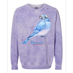 Bernie Bird Colorblast Crewneck Sweatshirt