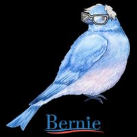 Bernie Bird T-Shirt