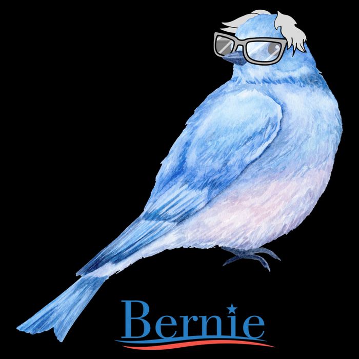 Bernie Bird T-Shirt