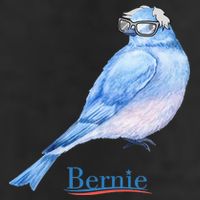 Bernie Bird Adult Drive Performance Visor