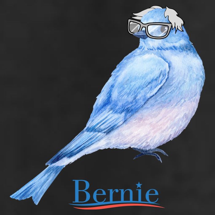 Bernie Bird Adult Drive Performance Visor