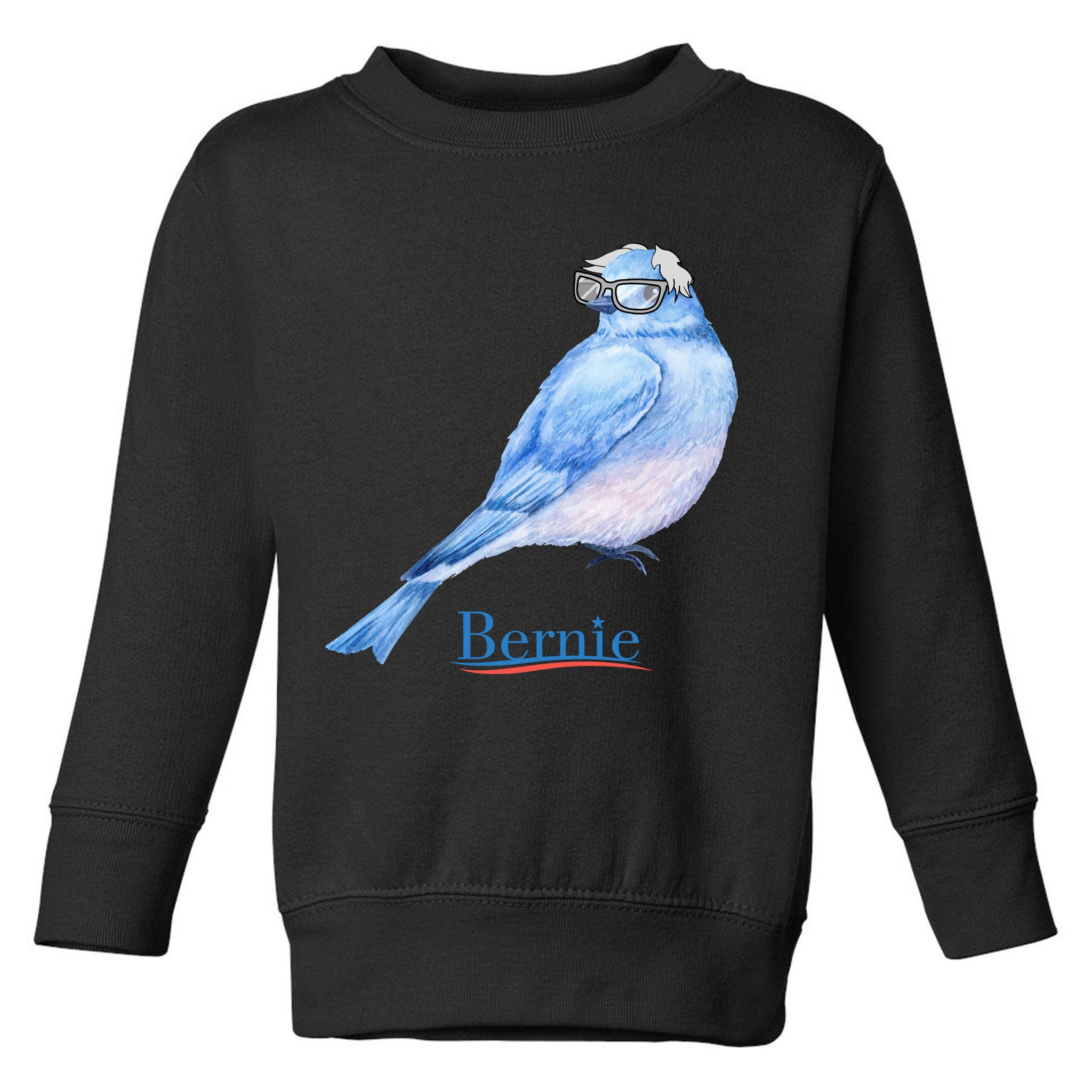 Bernie Bird Toddler Sweatshirt