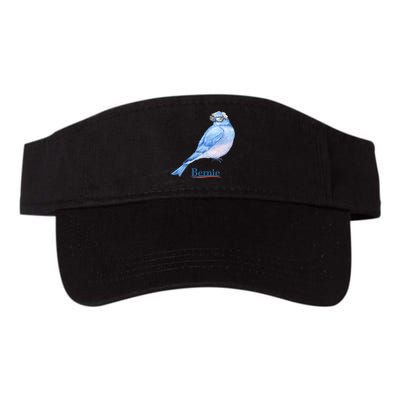 Bernie Bird Valucap Bio-Washed Visor