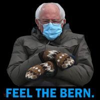 Bernie Mittens Bernie Sanders Feel The Bern Inauguration Day T-Shirt