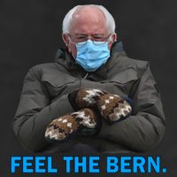 Bernie Mittens Bernie Sanders Feel The Bern Inauguration Day Beanie