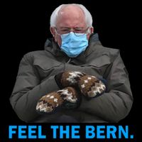 Bernie Mittens Bernie Sanders Feel The Bern Inauguration Day Women's V-Neck T-Shirt