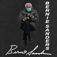 Bernie Sanders Mitten Meme Signature Adult Drive Performance Visor