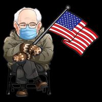 Bernie Sanders Mitten Meme USA Flag City Backpack