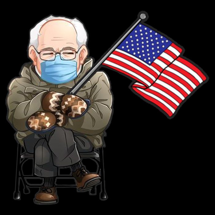 Bernie Sanders Mitten Meme USA Flag City Backpack