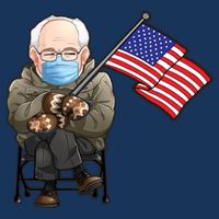 Bernie Sanders Mitten Meme USA Flag Visor