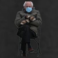 Bernie Sanders Mittens Sitting Inauguration Adult Drive Performance Visor
