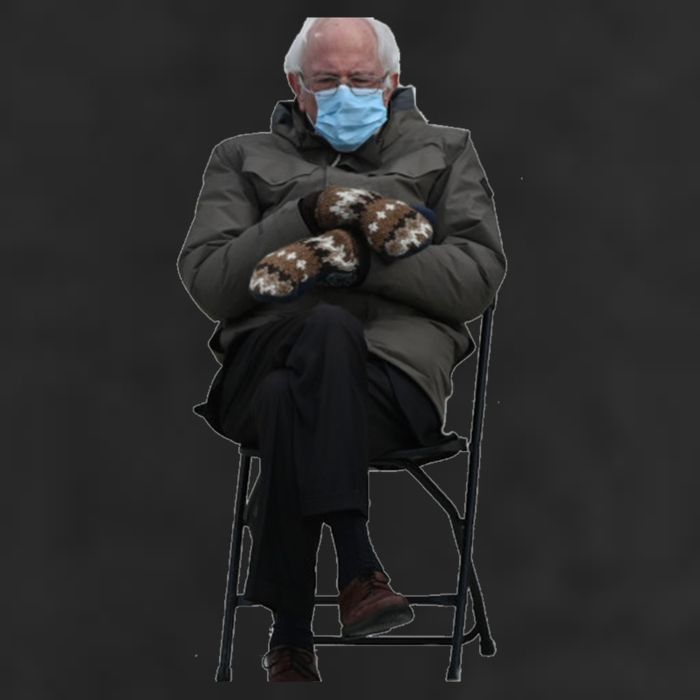 Bernie Sanders Mittens Sitting Inauguration Adult Drive Performance Visor