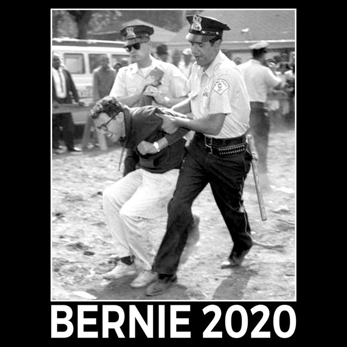Bernie Sanders Protest Arrest Apron