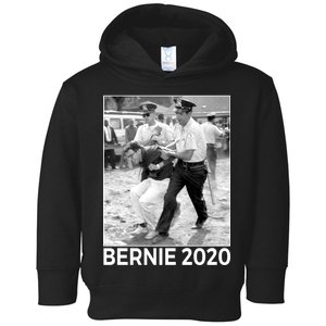 Bernie Sanders Protest Arrest Toddler Hoodie