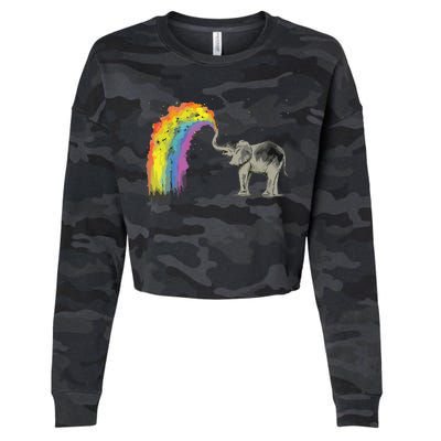 Baby Elephant Spraying Rainbow Cropped Pullover Crew