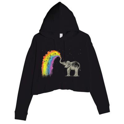 Baby Elephant Spraying Rainbow Crop Fleece Hoodie