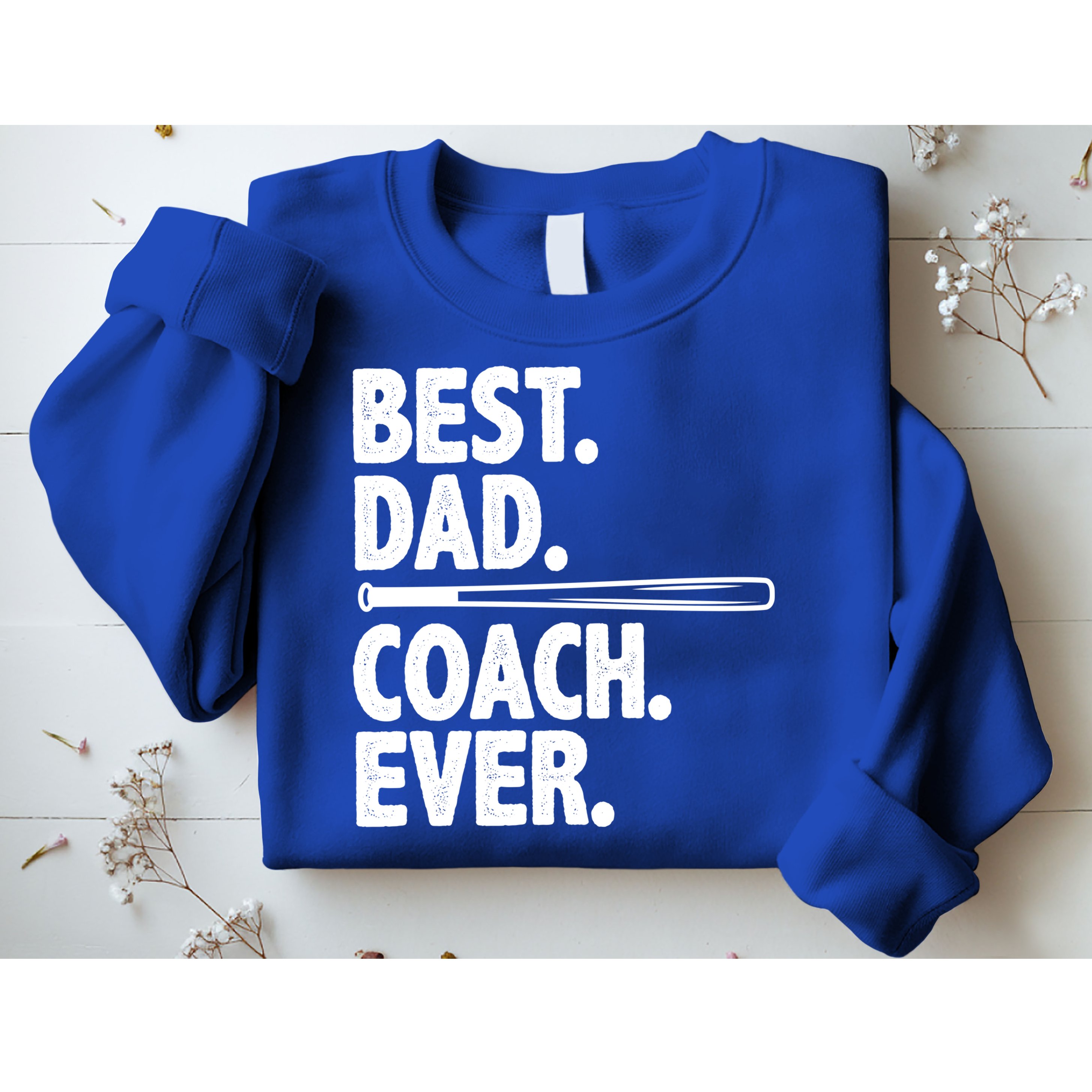 Best Baseball Dad Coach Ever Sweatshirt