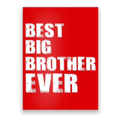 Best Big Brother Ever Poster