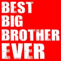 Best Big Brother Ever Kids Hoodie