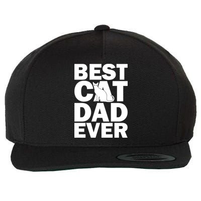 Best Cat Dad Ever Wool Snapback Cap