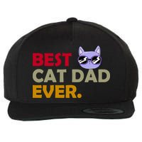Best Cat Dad Ever Funny Cat Lover Wool Snapback Cap