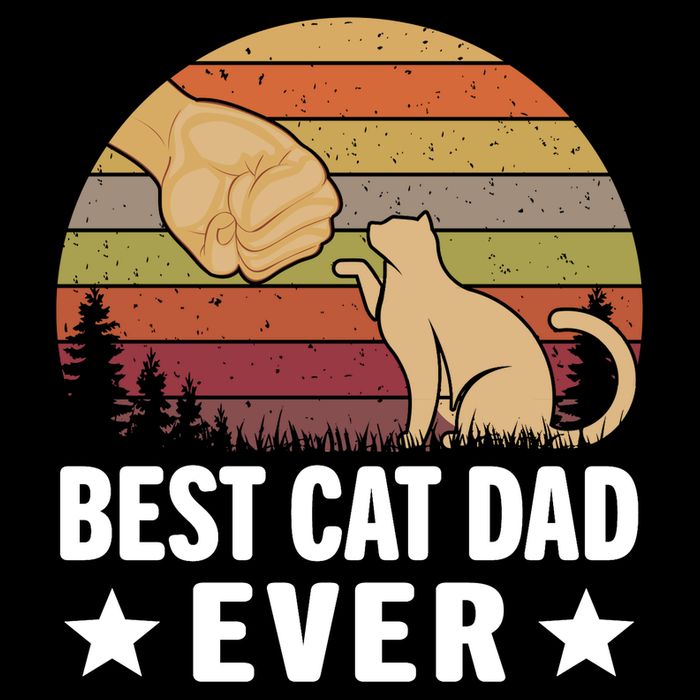Best Cat Dad Ever Funny Cute Retro Stripe Pom Pom Beanie