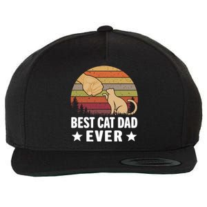 Best Cat Dad Ever Funny Cute Retro Wool Snapback Cap