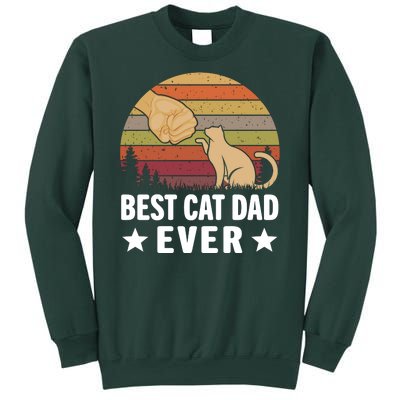 Best Cat Dad Ever Funny Cute Retro Sweatshirt