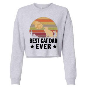 Best Cat Dad Ever Funny Cute Retro Cropped Pullover Crew