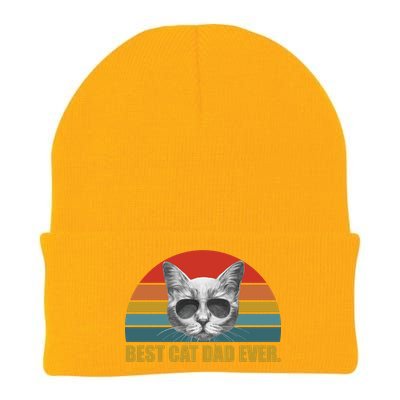 Best Cat Dad Ever Retro Sunset Knit Cap Winter Beanie