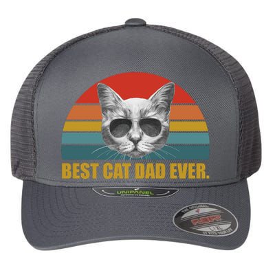 Best Cat Dad Ever Retro Sunset Flexfit Unipanel Trucker Cap