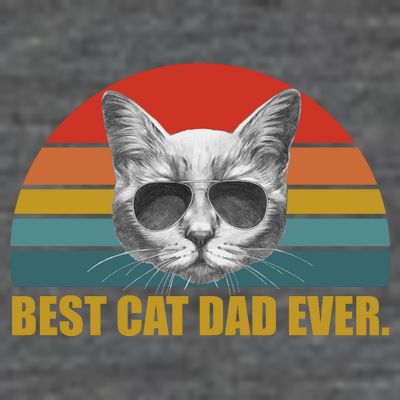 Best Cat Dad Ever Retro Sunset T-Shirt