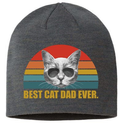 Best Cat Dad Ever Retro Sunset Sustainable Beanie