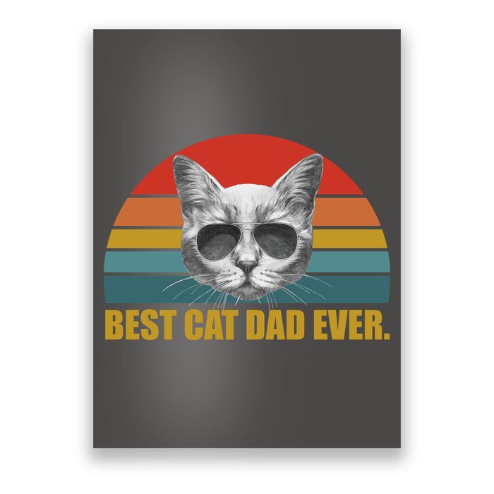 Best Cat Dad Ever Retro Sunset Poster