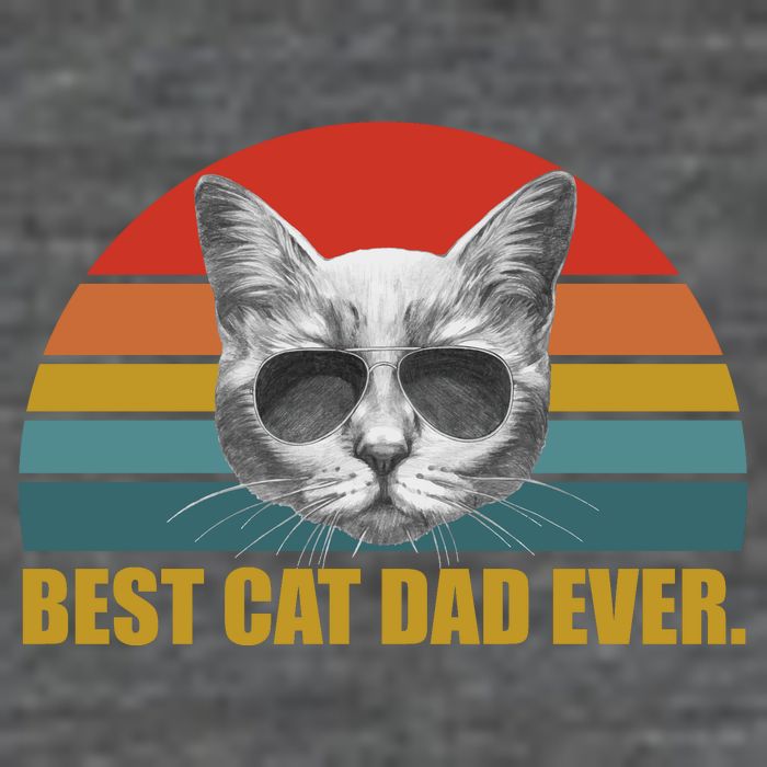 Best Cat Dad Ever Retro Sunset Poster
