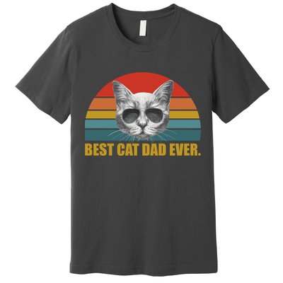 Best Cat Dad Ever Retro Sunset Premium T-Shirt