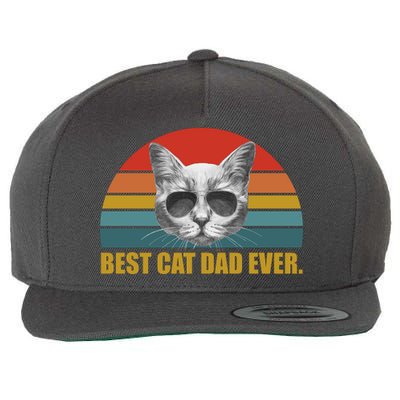 Best Cat Dad Ever Retro Sunset Wool Snapback Cap