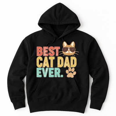 Best Cat Dad Ever Vintage Colors Hoodie