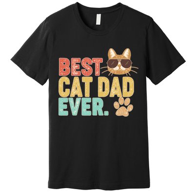 Best Cat Dad Ever Vintage Colors Premium T-Shirt