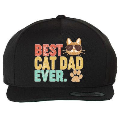 Best Cat Dad Ever Vintage Colors Wool Snapback Cap