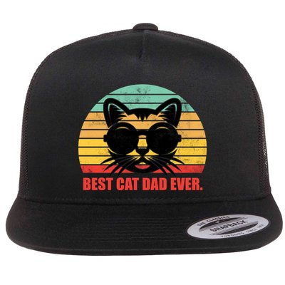 Best Cat Ever - Retro Vintage Design Flatbill Hat