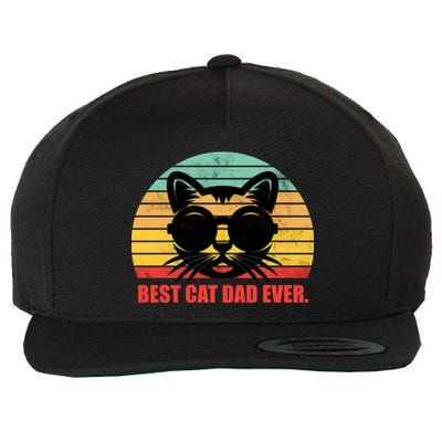 Best Cat Ever - Retro Vintage Design Wool Snapback Cap