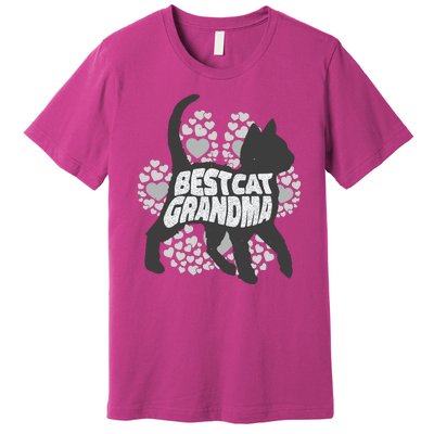 Best Cat Grandma Premium T-Shirt