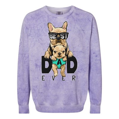 Best Dad Ever Cute Funny Dog Pug Dad Colorblast Crewneck Sweatshirt