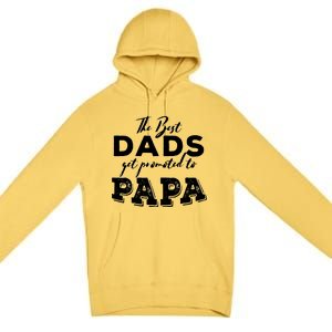 Best Dads Promoted To Papa Funny Gift Premium Pullover Hoodie