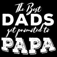 Best Dads Promoted To Papa Funny Gift Impact Tech Backpack