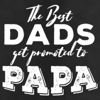 Best Dads Promoted To Papa Funny Gift Trucker Hat