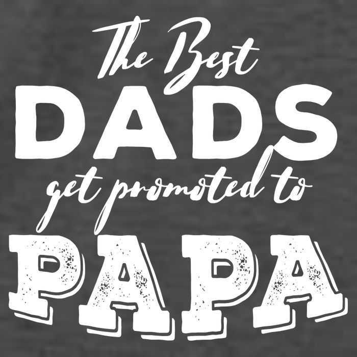 Best Dads Promoted To Papa Funny Gift Vector Backpack
