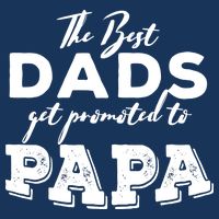 Best Dads Promoted To Papa Funny Gift 7 Panel Mesh Trucker Snapback Hat